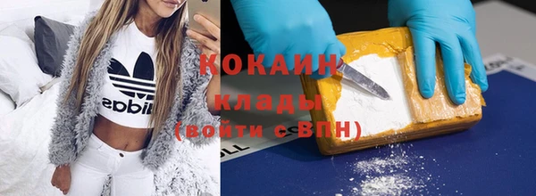 гашик Богданович
