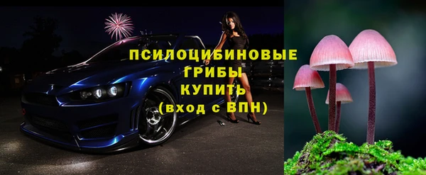 мескалин Богородицк