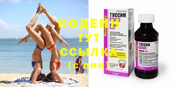 гашик Богданович