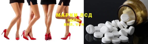 гашик Богданович