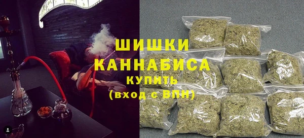 гашик Богданович