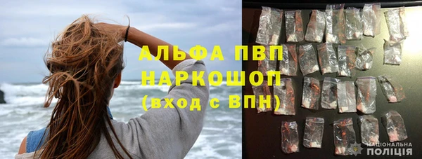 гашик Богданович
