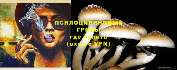 мескалин Богородицк