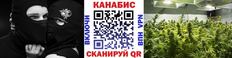 Шишки марихуана MAZAR  Купить  Кушва 
